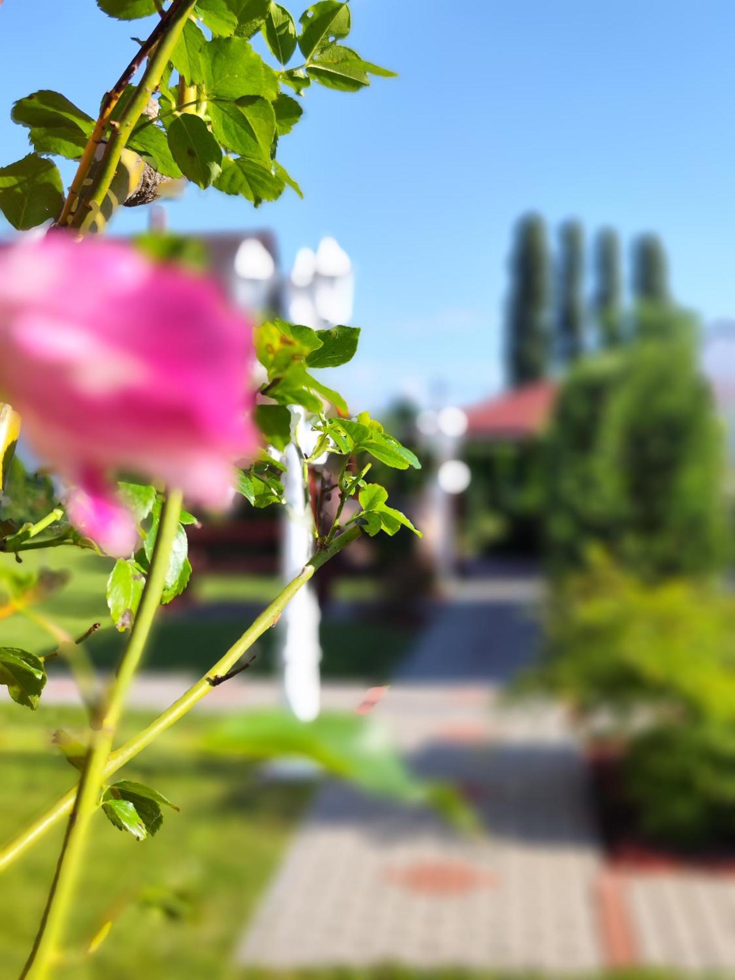 Havasi Ueduelohaz Appartement Gyenesdiás Buitenkant foto